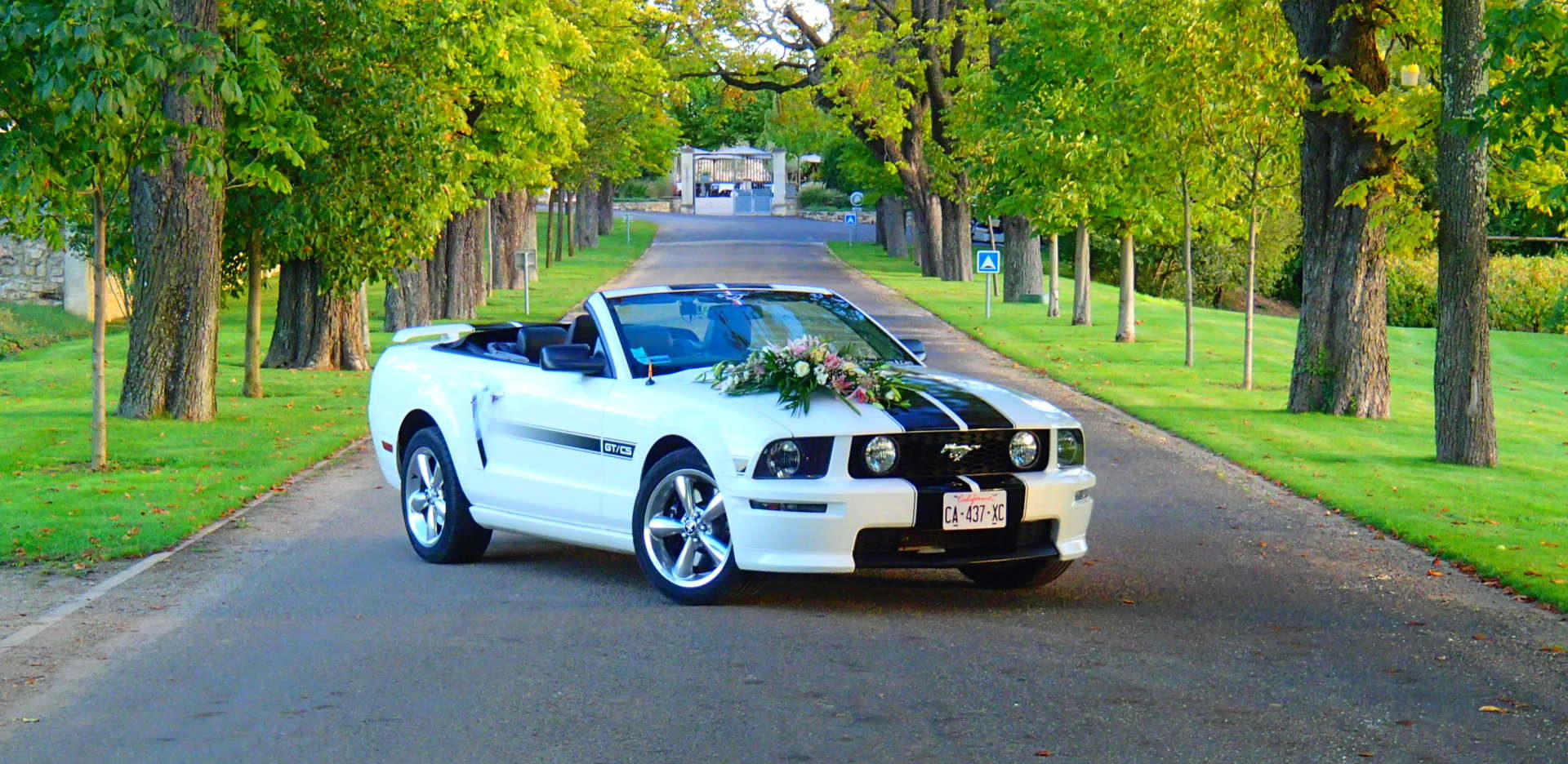 Louez une Ford Mustang Cabriolet pour votre MARIAGE !